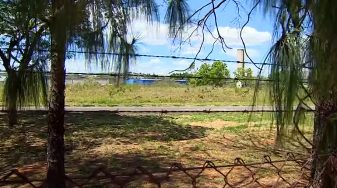 Reprodução/TV Vanguarda