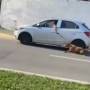 Mulher é multada em R$ 3 mil por arrastar cachorro com carro em São José