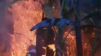 Fogo ilhabela Fogo ilhabela