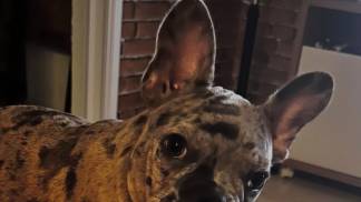 WhatsApp Image 2025-10-29 at 09.51.58 WhatsApp Image 2025-10-29 at 09.51.58