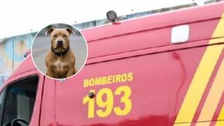 WhatsApp Image 2025-10-29 at 14.31.24 WhatsApp Image 2025-10-29 at 14.31.24