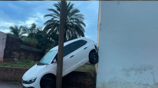 Texto do seu parágrafo (66)