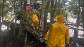 Texto do seu parágrafo (68)