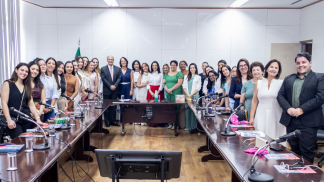 Texto do seu parágrafo (85)