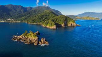 Toque-Toque-Pequeno-Sao-Sebastiao-credito-Tais-Nogueira-Santos-Albuquerque