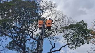 força-tarefa-região-sul-2