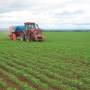 Agro paulista tem superávit de mais de US$ 14 bilhões no ano