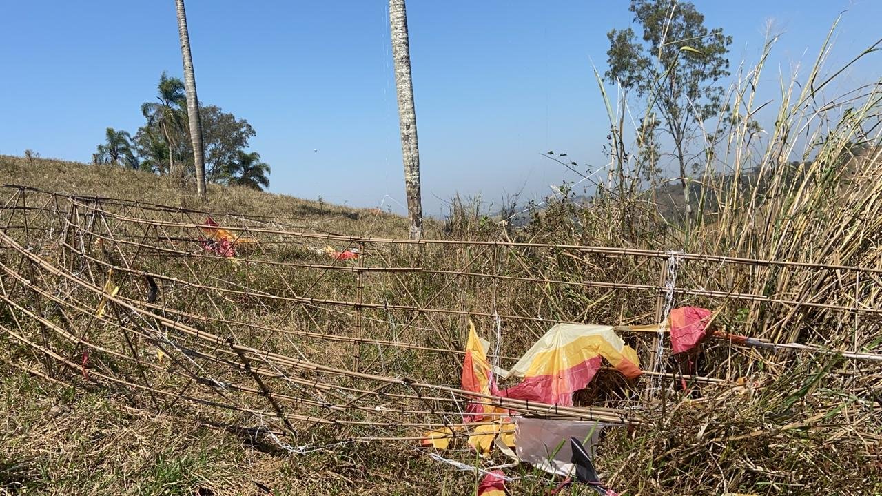 Divulgação/PolíciaAmbiental