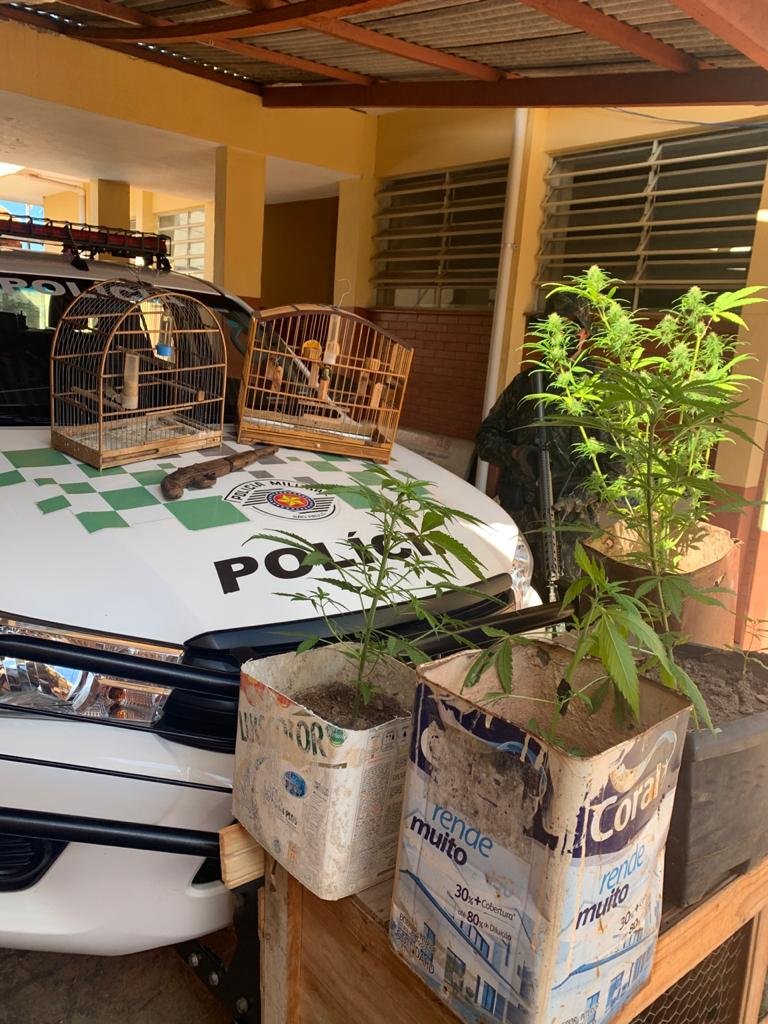 Divulgação/Polícia Ambiental