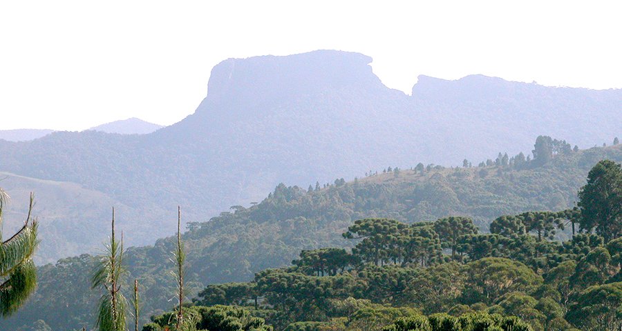  José Alfredo