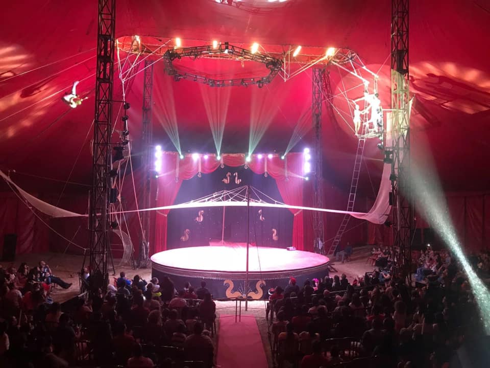 Após mais de um ano, circo reabre e volta a receber público em São José Após mais de um ano, circo reabre e volta a receber público em São José