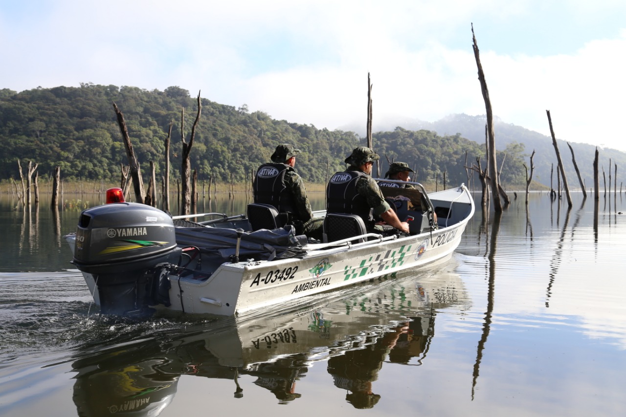 Divulgação/PolíciaAmbiental 