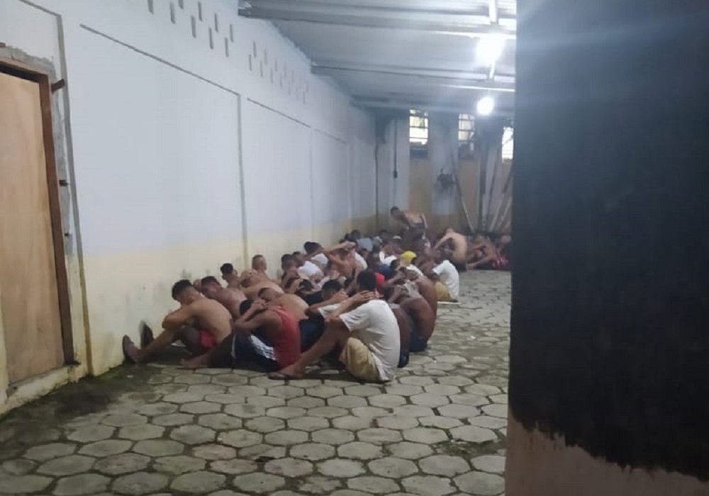 Divulgação