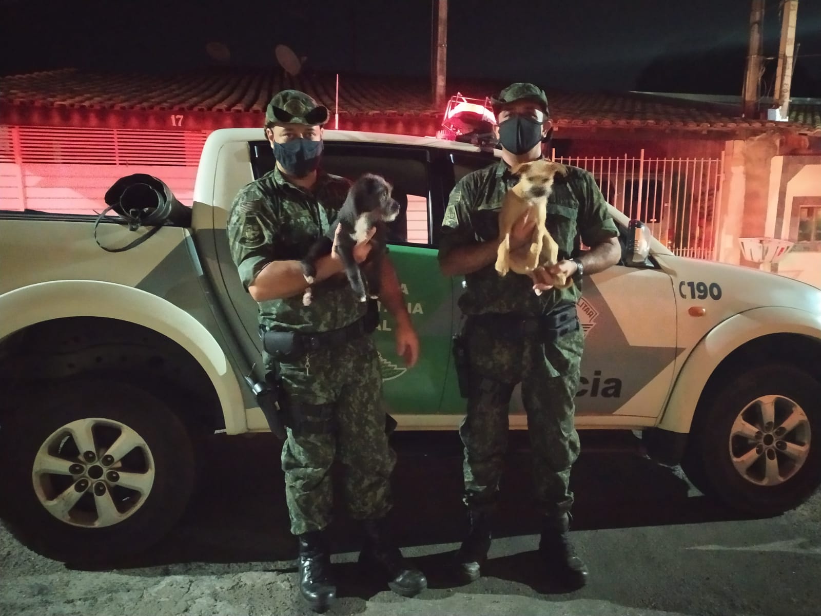 Divulgação / Polícia Militar Ambiental