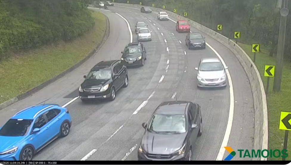 Reprodução/Tamoios