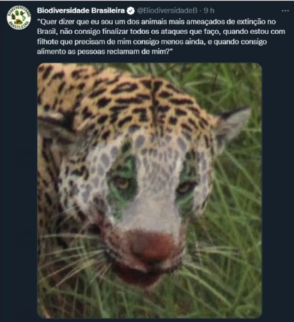 Twitter