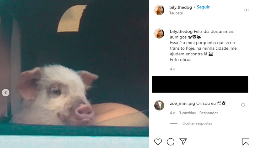 Reprodução/Instagram