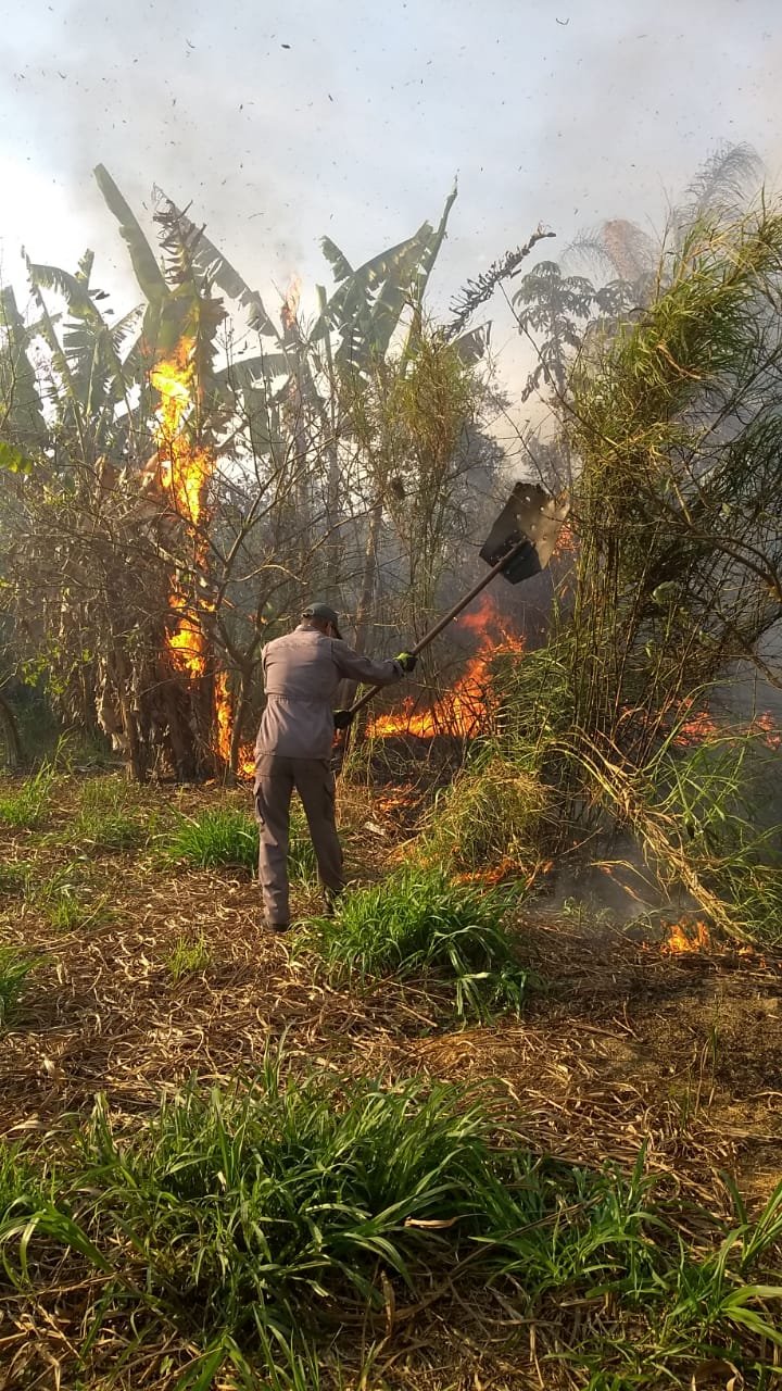 Divulgação/Bombeiros
