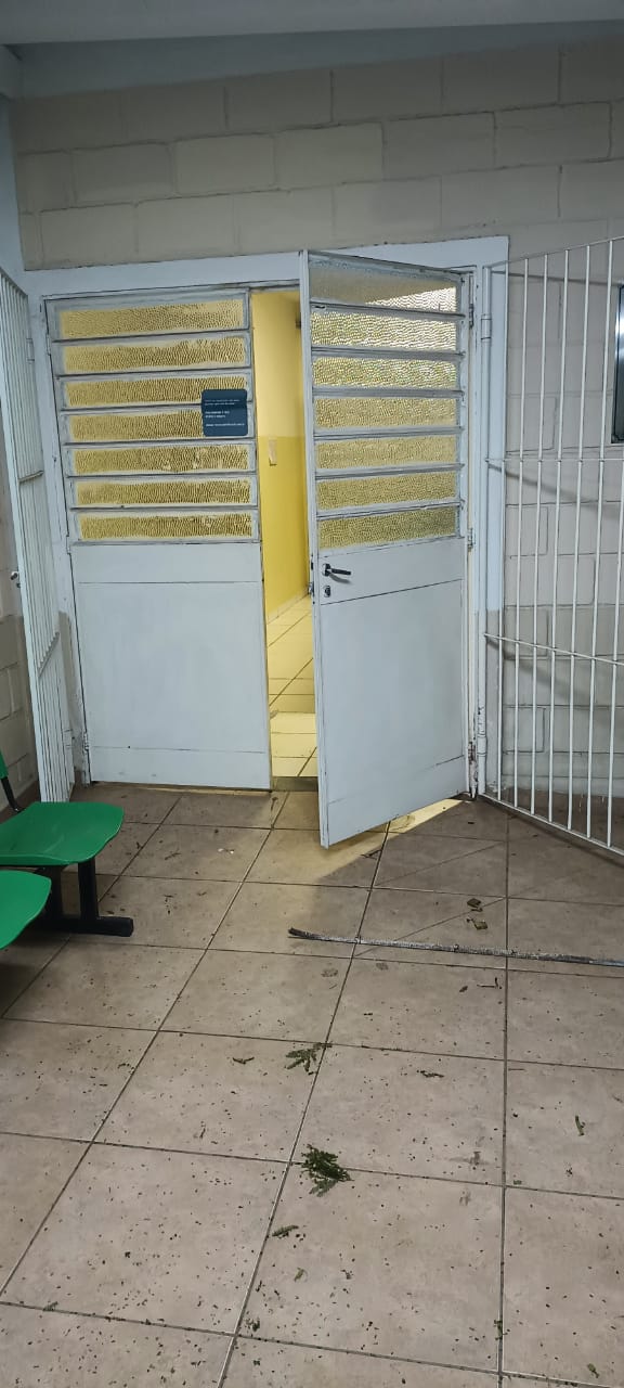 Divulgação