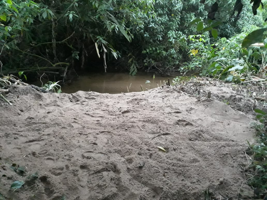 Divulgação/Polícia Ambiental