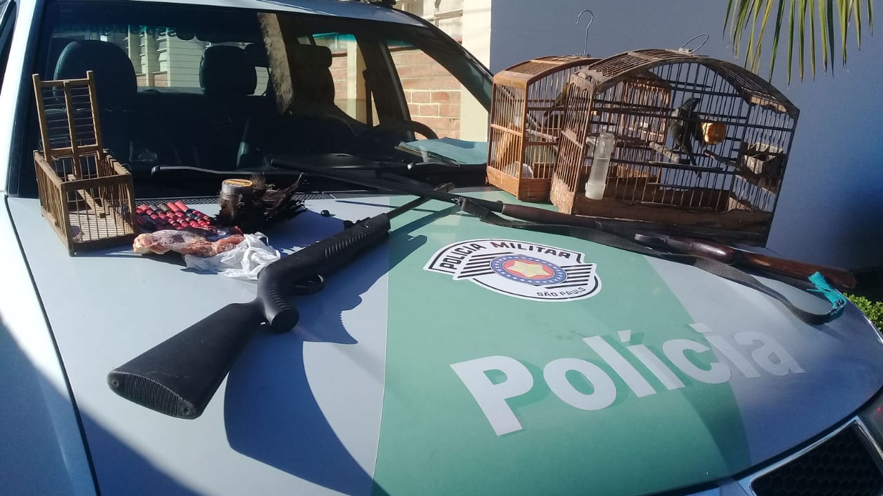 Divulgação/Polícia Ambiental