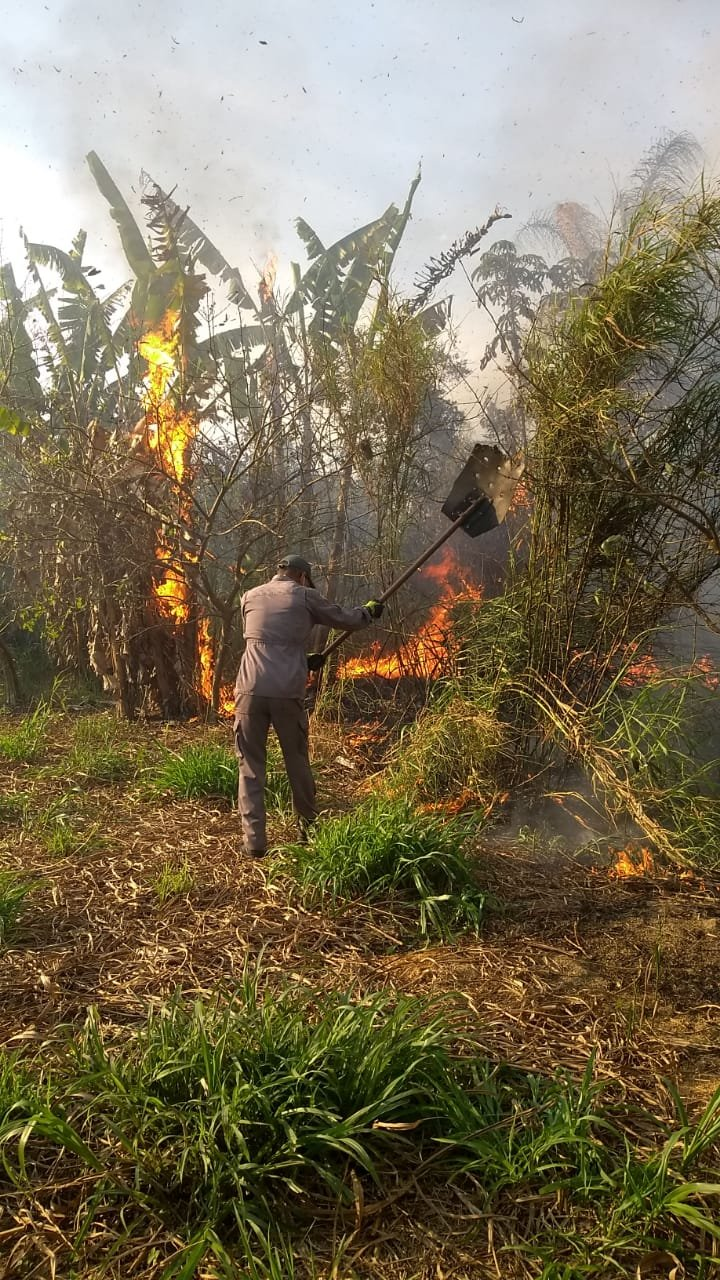 Divulgação/Corpo de Bombeiros