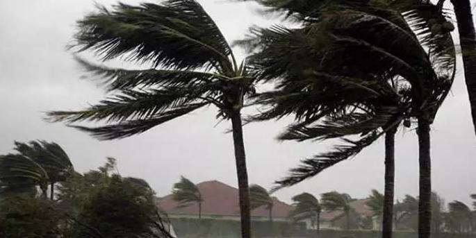 Ventos causam quedas de árvores e danos estruturais em Caraguá e Ubatuba nesta quarta
