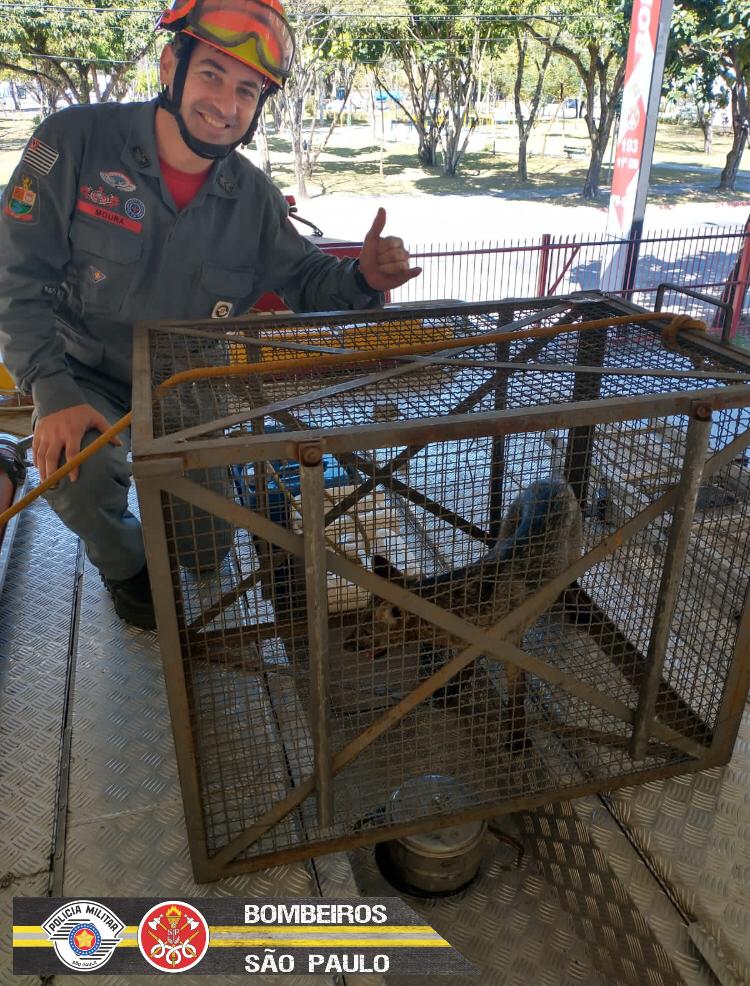 Corpo de Bombeiros