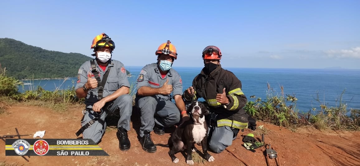 Foto: Divulgação/Corpo de Bombeiros Foto: Divulgação/Corpo de Bombeiros