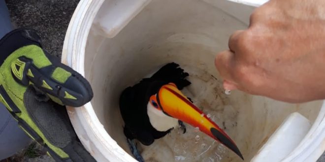 Foto: Divulgação/ PMT
