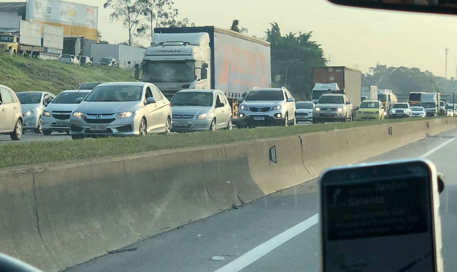 Reprodução